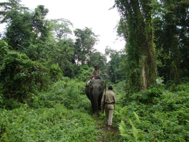 dsc02488-nameri-wildlife-trail_anurag-mallick